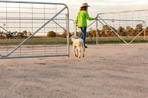 Farm kid opening gates followed by pet lamb