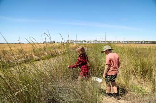 Farm kids walking through long grass to catch yabbies in dam - Australian Stock Image
