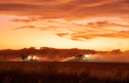 farm machinery harvesting crops at sunset - Australian Stock Image