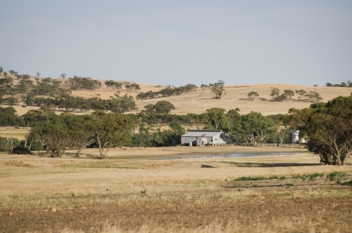 Farm sheds and landscape in Summer in the Avon Valley of Western Australia - Australian Stock Image