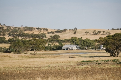 Farm sheds and landscape in Summer in the Avon Valley of Western Australia