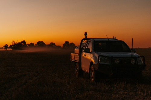 Farm ute at dusk - Australian Stock Image