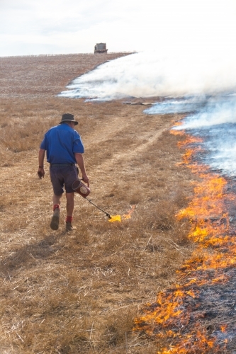 Farmer carrying a fire lighter burning grass