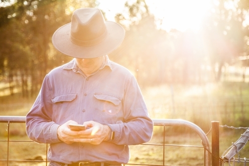 Farmer leaning on farm gate using smartphone in afternoon light - Australian Stock Image
