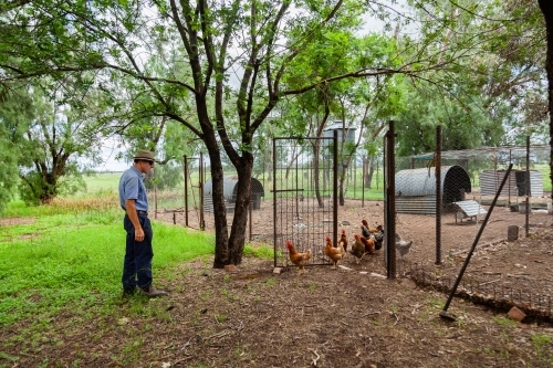 Farmer letting the chooks out