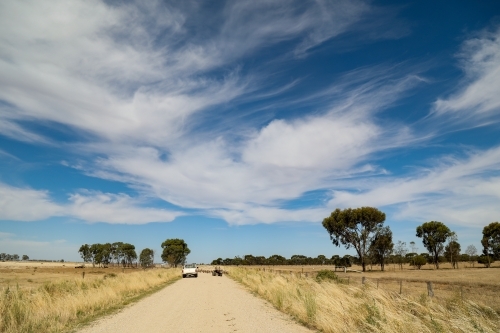 Farmer moving sheep on four wheeler motorbike along rural country road - Australian Stock Image