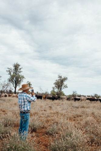 farmer using mobile phone on farm - Australian Stock Image