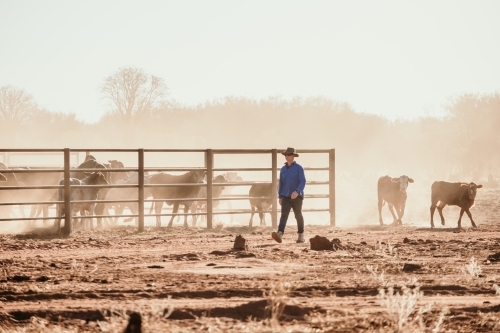 Farmer walks past cattle yards in the red dust in the outback