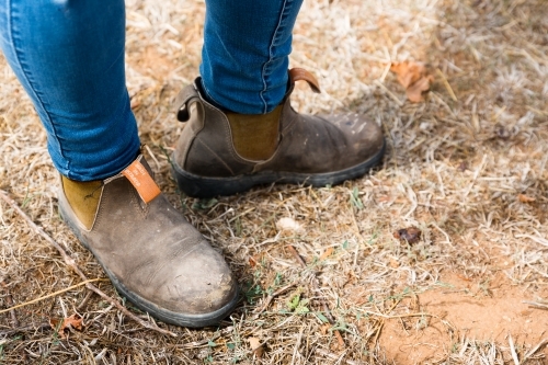 Farmers boots on red soil of winery - Australian Stock Image