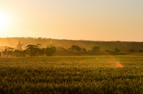Farming landscape in the Avon Valley region of Western Australia - Australian Stock Image