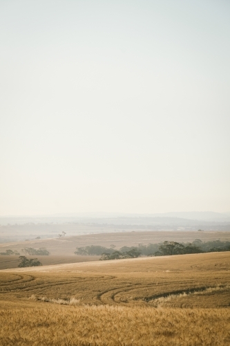 Farming landscape in the Avon Valley region of Western Australia - Australian Stock Image