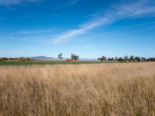 Farming landscape with dry grass, green paddock and a building - Australian Stock Image