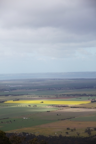 Farmland paddocks and overcast sky in Rural Victoria