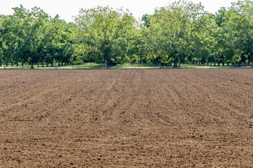 Farmland prepared for planting with green grass and trees in background