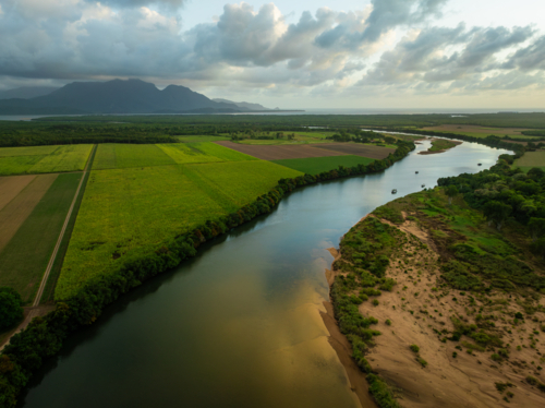 Farmland & the Herbert River looking towards Hinchinbrook Island - Australian Stock Image