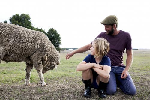 Father and daughter in paddock looking at sheep