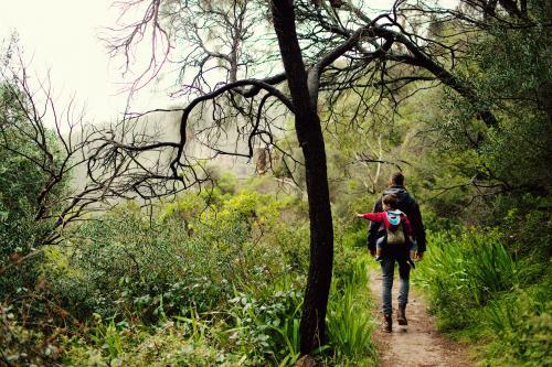 Father carrying a child on his back hiking - Australian Stock Image