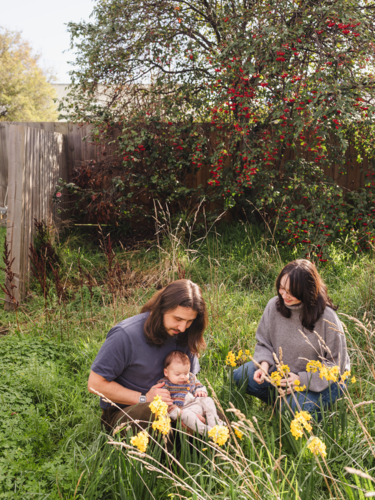 Father holding baby near yellow flowers while mum sits beside them - Australian Stock Image