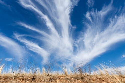 feathery white clouds in blue sky - Australian Stock Image