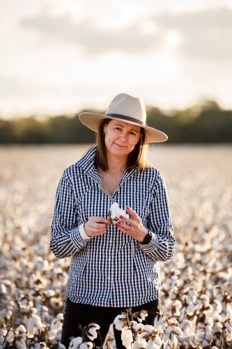 Female farmer in a cotton crop before harvest - Australian Stock Image