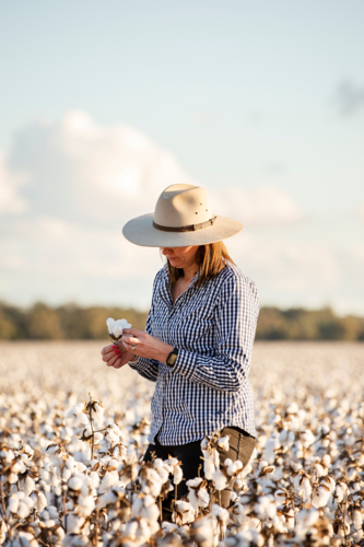 Female farmer looking at a cotton boll in the paddock - Australian Stock Image
