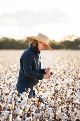 Female farmer looking at cotton before harvest - Australian Stock Image