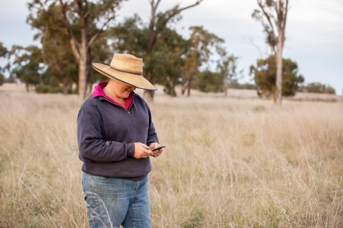 Female farmer using a mobile phone to text in the paddock - Australian Stock Image