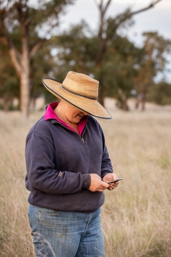 Female farmer using an iphone to text in the paddock - Australian Stock Image