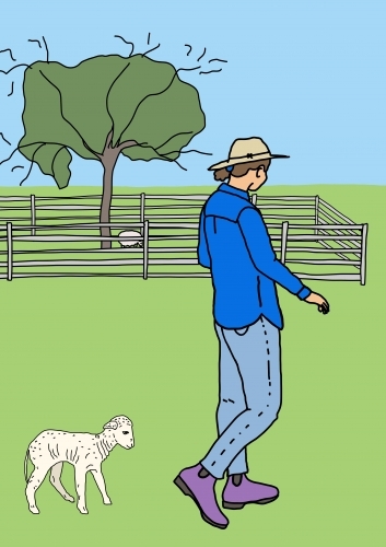Female farmer wearing purple boots walks across green paddock with little white lamb following her