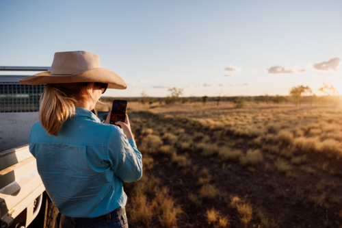 Female holding a phone using technology on the farm - Australian Stock Image