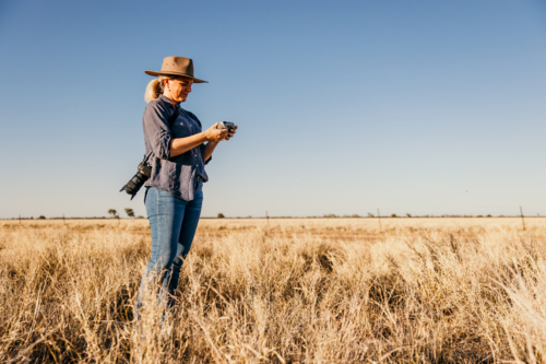 Female looking at drone controller standing in paddock - Australian Stock Image