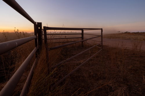 Fence and gates on cattle station, at sunrise - Australian Stock Image