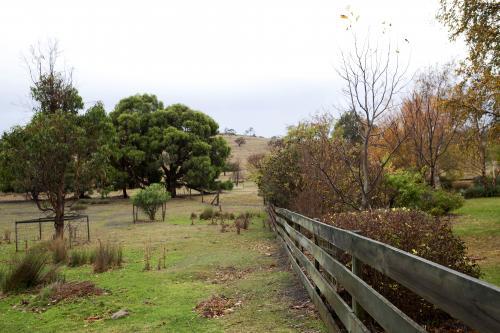 Fence dividing the farm paddock and garden - Australian Stock Image