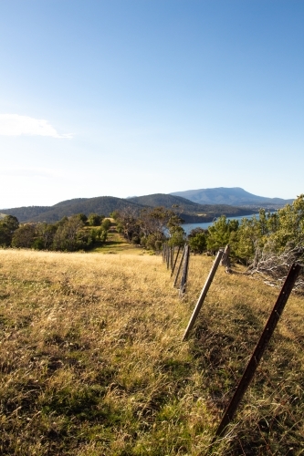 Fence line in Tasmania - Australian Stock Image