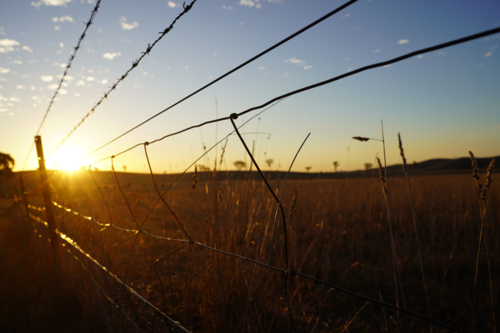 Fence with sunshine at sunset - Australian Stock Image