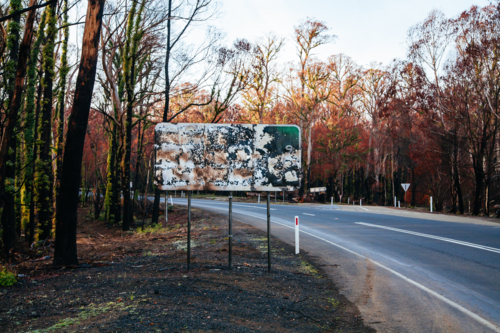 Fire aftermath devastation on road to Lake Mountain ski resort after 2009 Black Saturday bushfire - Australian Stock Image