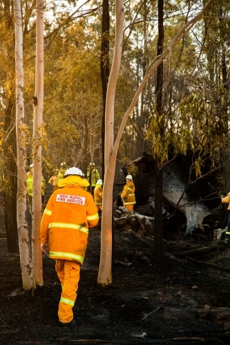 Firefighters in bright reflective workwear fighting grass fire among trees - Australian Stock Image