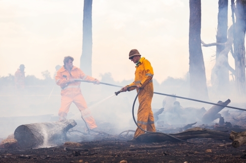 firefighters using hoses to spray water on burnt logs after fire - Australian Stock Image