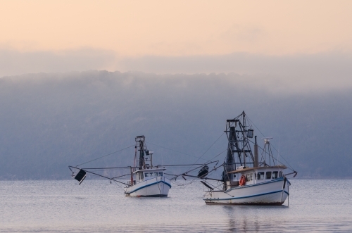 Fishing boats anchored in the bay - Australian Stock Image