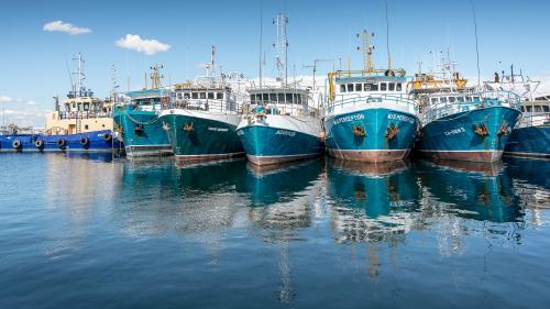 Fishing Boats Lined up in Fremantle Harbour