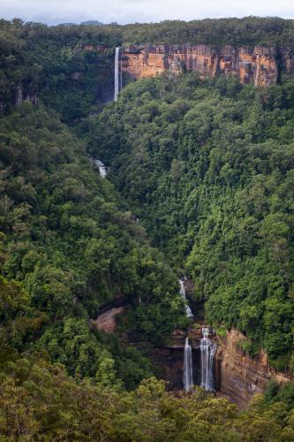 Fitzroy Falls - Australian Stock Image