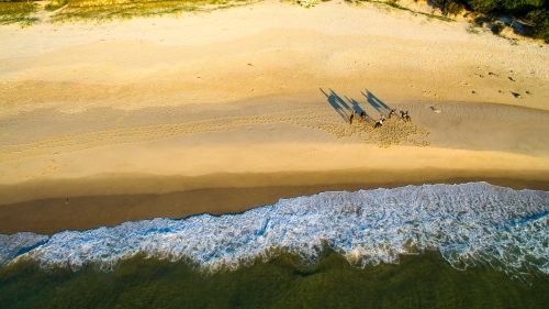 Five women riding horses on the sand along Maggies Beach at Cabarita Beach