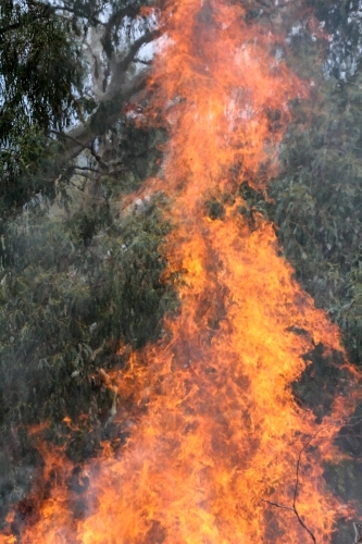 Flames from a bonfire - Australian Stock Image