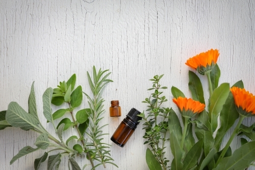 Flat lay image featuring essential oil bottles with fresh herbs on white wood background - Australian Stock Image