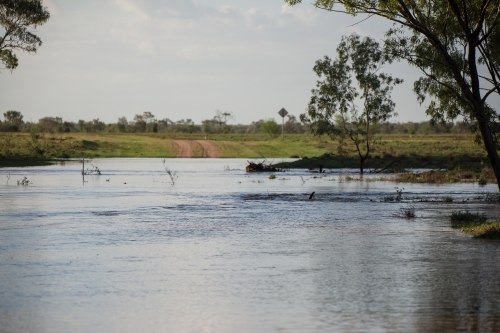 Flooded creek - Australian Stock Image