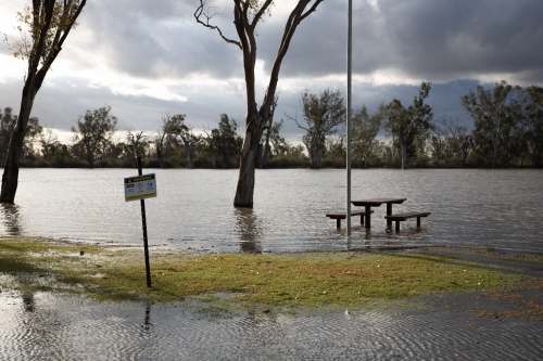 Flooded Murray River picnic table