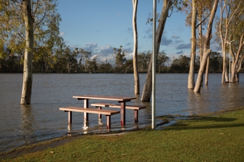 Flooded Murray River picnic table - Australian Stock Image