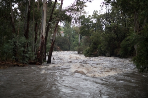 Floodwaters in local creek - Australian Stock Image