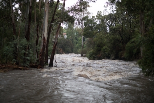 Floodwaters in local creek