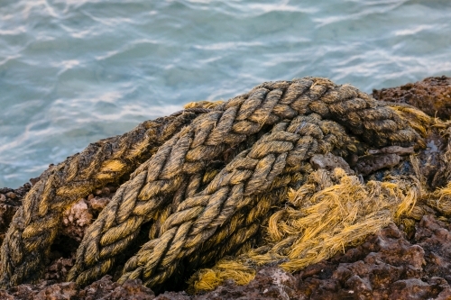 Flotsam and Jetstam, a thick yellow rope washed up on the beach